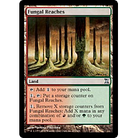 Fungal Reaches