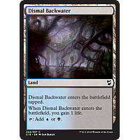 Dismal Backwater