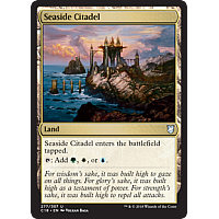 Seaside Citadel