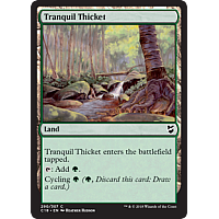 Tranquil Thicket
