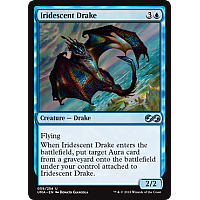 Iridescent Drake