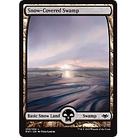 Snow-Covered Swamp (Full art) (Foil)