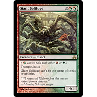 Giant Solifuge