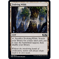 Evolving Wilds