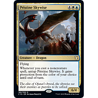 Pristine Skywise