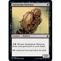 Sanitarium Skeleton