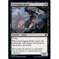 Scavenging Harpy