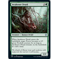 Awakener Druid
