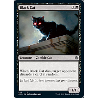 Black Cat