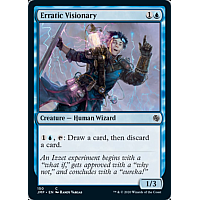 Erratic Visionary