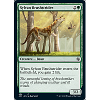 Sylvan Brushstrider
