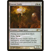 Karmic Guide