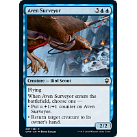 Aven Surveyor