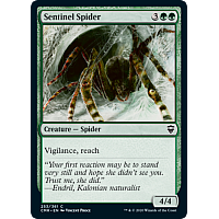Sentinel Spider