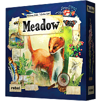 Meadow