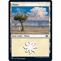 Plains