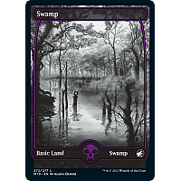 Swamp (Full art) (Foil)