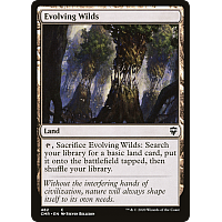 Evolving Wilds (Foil)