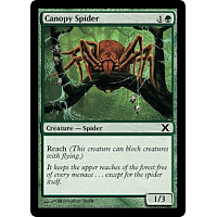 Canopy Spider