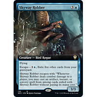 Skyway Robber (Extended Art)