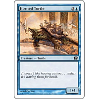 Horned Turtle