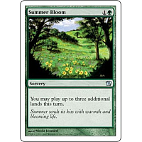 Summer Bloom
