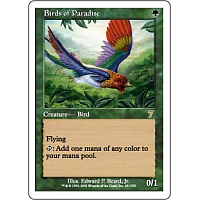 Birds of Paradise
