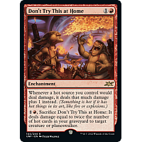 Don't Try This at Home (Foil)