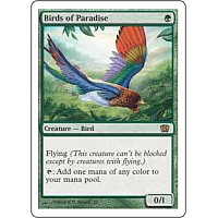 Birds of Paradise