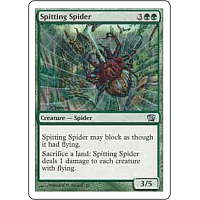 Spitting Spider