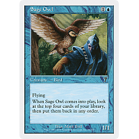 Sage Owl (Foil)